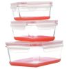 Set of 3 Glass Nesting Food Storage Containers with Lids 2 Cups; 4 Cups; 7.3 Cups